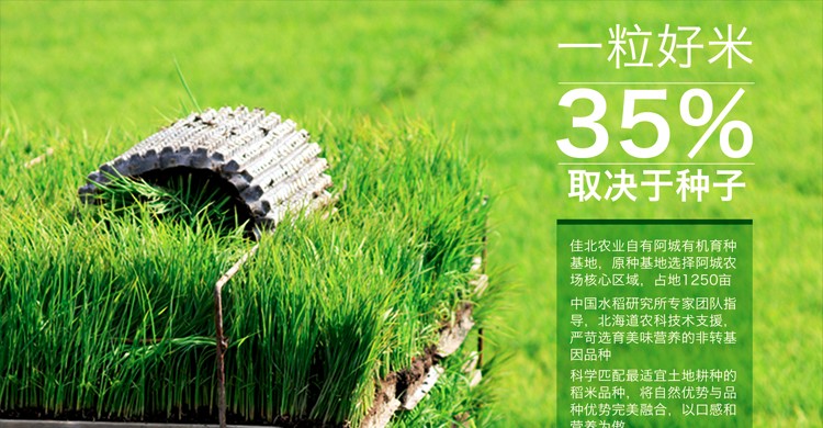 一粒好米，35%取决于种子